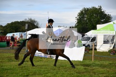 Holsworthy-Main-Ring-034