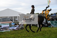 Holsworthy-Main-Ring-035