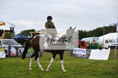 Holsworthy-Main-Ring-037