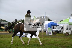 Holsworthy-Main-Ring-039