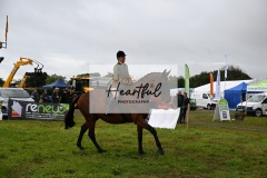 Holsworthy-Main-Ring-040