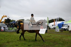 Holsworthy-Main-Ring-041