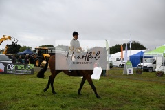 Holsworthy-Main-Ring-042