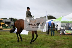 Holsworthy-Main-Ring-043