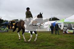 Holsworthy-Main-Ring-045