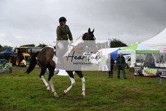 Holsworthy-Main-Ring-046