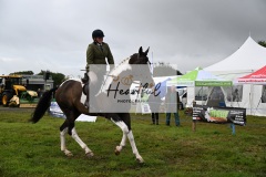 Holsworthy-Main-Ring-047