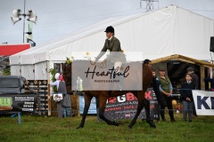 Holsworthy-Main-Ring-048