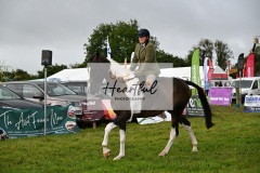 Holsworthy-Main-Ring-052