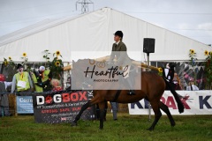 Holsworthy-Main-Ring-053