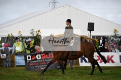 Holsworthy-Main-Ring-054