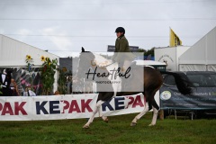 Holsworthy-Main-Ring-055