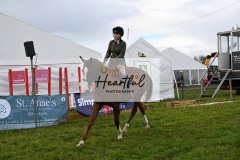 Holsworthy-Main-Ring-056