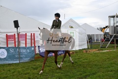 Holsworthy-Main-Ring-057