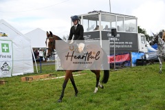 Holsworthy-Main-Ring-058