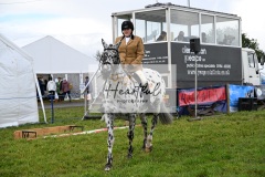 Holsworthy-Main-Ring-059