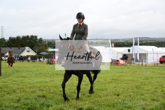 Holsworthy-Main-Ring-060