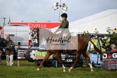 Holsworthy-Main-Ring-064