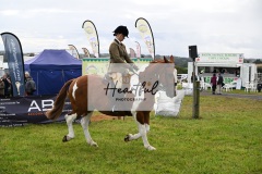 Holsworthy-Main-Ring-065