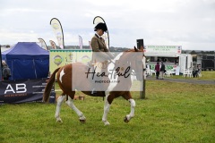 Holsworthy-Main-Ring-066