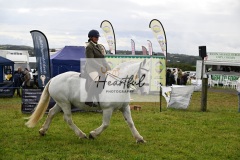 Holsworthy-Main-Ring-068