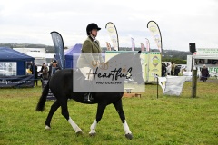 Holsworthy-Main-Ring-069