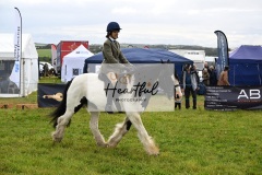 Holsworthy-Main-Ring-070