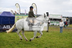 Holsworthy-Main-Ring-072