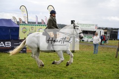 Holsworthy-Main-Ring-073