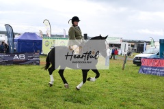 Holsworthy-Main-Ring-074