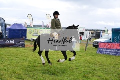 Holsworthy-Main-Ring-075