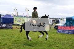 Holsworthy-Main-Ring-076