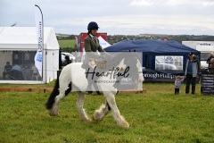 Holsworthy-Main-Ring-077