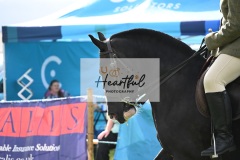 Holsworthy-Main-Ring-078