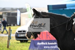 Holsworthy-Main-Ring-081