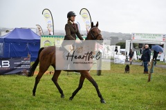 Holsworthy-Main-Ring-082