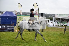 Holsworthy-Main-Ring-086