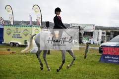 Holsworthy-Main-Ring-087