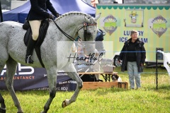 Holsworthy-Main-Ring-089