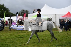 Holsworthy-Main-Ring-090