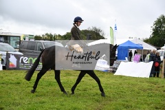 Holsworthy-Main-Ring-094