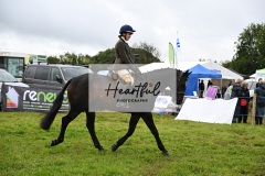 Holsworthy-Main-Ring-095