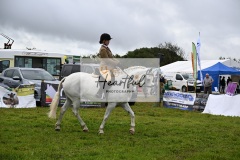 Holsworthy-Main-Ring-096