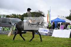 Holsworthy-Main-Ring-097