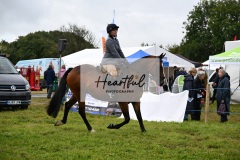 Holsworthy-Main-Ring-098