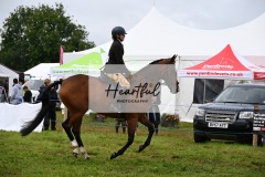 Holsworthy-Main-Ring-099