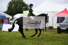 Holsworthy-Main-Ring-100