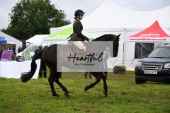 Holsworthy-Main-Ring-101