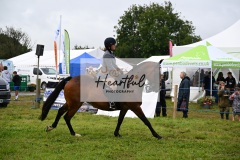 Holsworthy-Main-Ring-102