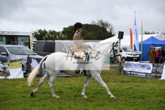 Holsworthy-Main-Ring-104